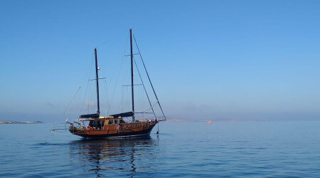 Private cruise-Delos&Rhenia islands